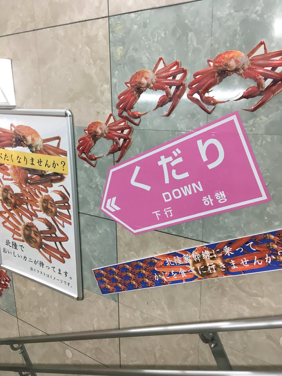 deepwhim's tweet photo. I also had the photos of scary 2ky aesthetic posters. enjoy 🦀 https://t.co/7ItdI7JHuX