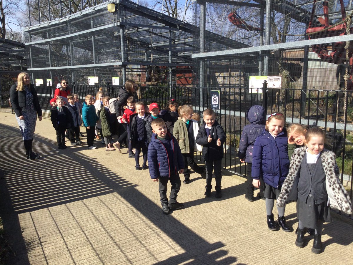 BeechHighlands's tweet photo. We loved seeing the animals. Some of us used our science knowledge to classify them… we all knew the lemur was a mammal because it had fur! https://t.co/62cDsSZMn5