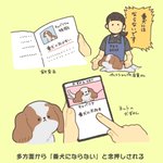 キャバリアの特徴は？とりあえず番犬には向いていない!