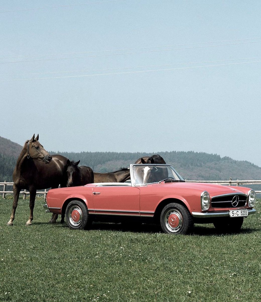 MercedesBenzUSA's tweet photo. Did you know? A total of 48,912 cars were built of the three 113 series SL-models in eight years. #SL #W113 #MBClassic 📸 @MB_Museum https://t.co/owczTW4rCy