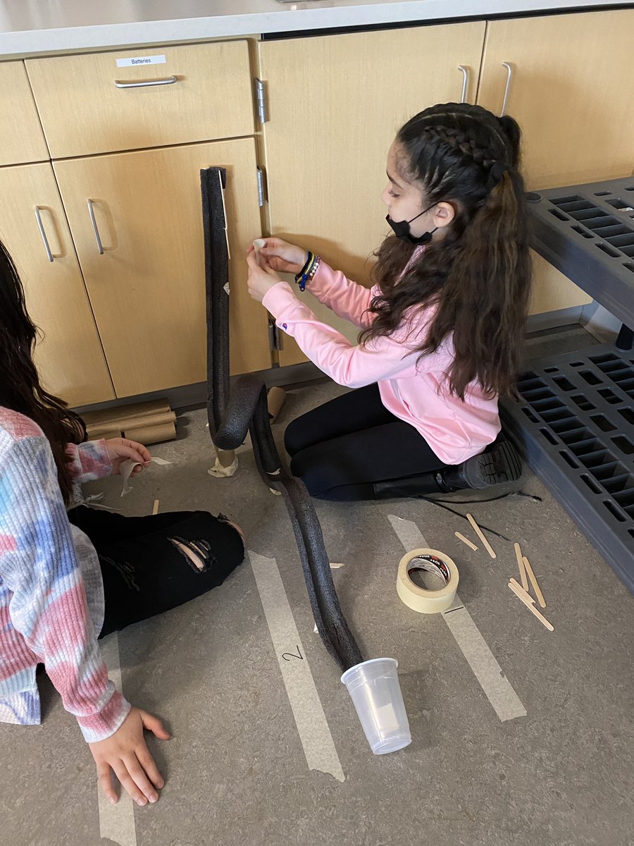 Delia Bush tweet media