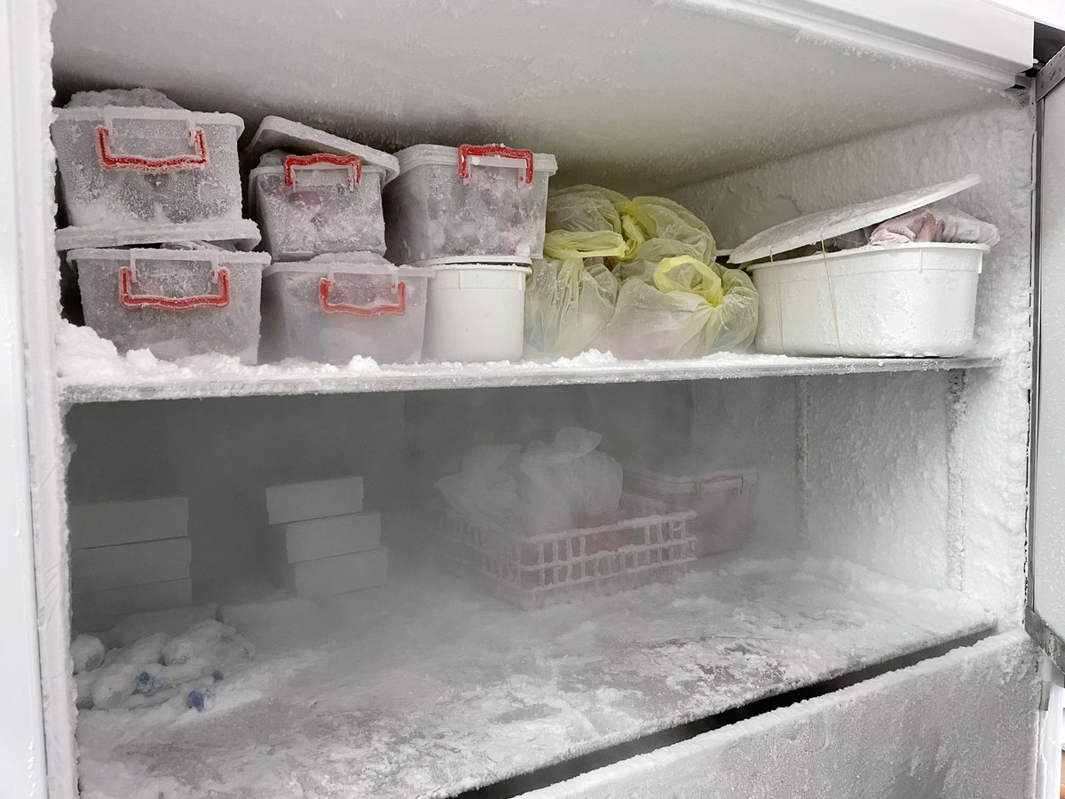 Had a great visit at the Cyprus Veterinary Services today, catching up with <a href="/DaphneMavrides/">Daphne Mavrides</a> on her PhD progress! We have already built a nice collection of more than 340 samples from 19 farms towards to our biobank! #Cyprus #microbiome #microbiology #cryptosporidium