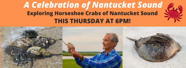 Tmrw at 6pm we explore horseshoe crabs in our webinar w/ Bill Sargent. Bill has authored over 20 books &amp; is a former consultant for #PBS #Nova series. Register for free at: tinyurl.com/SOS-Crabs

#crabs  #Nantucket #CapeCod #NantucketSound #aquarium