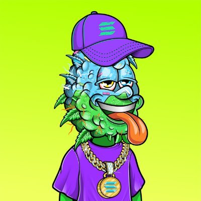 NFT_Enthusiast 🟠 tweet media