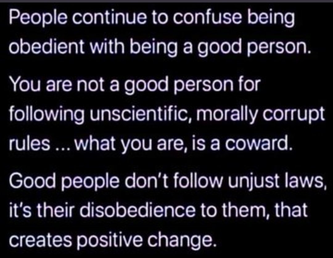 Transylvanienne tweet media