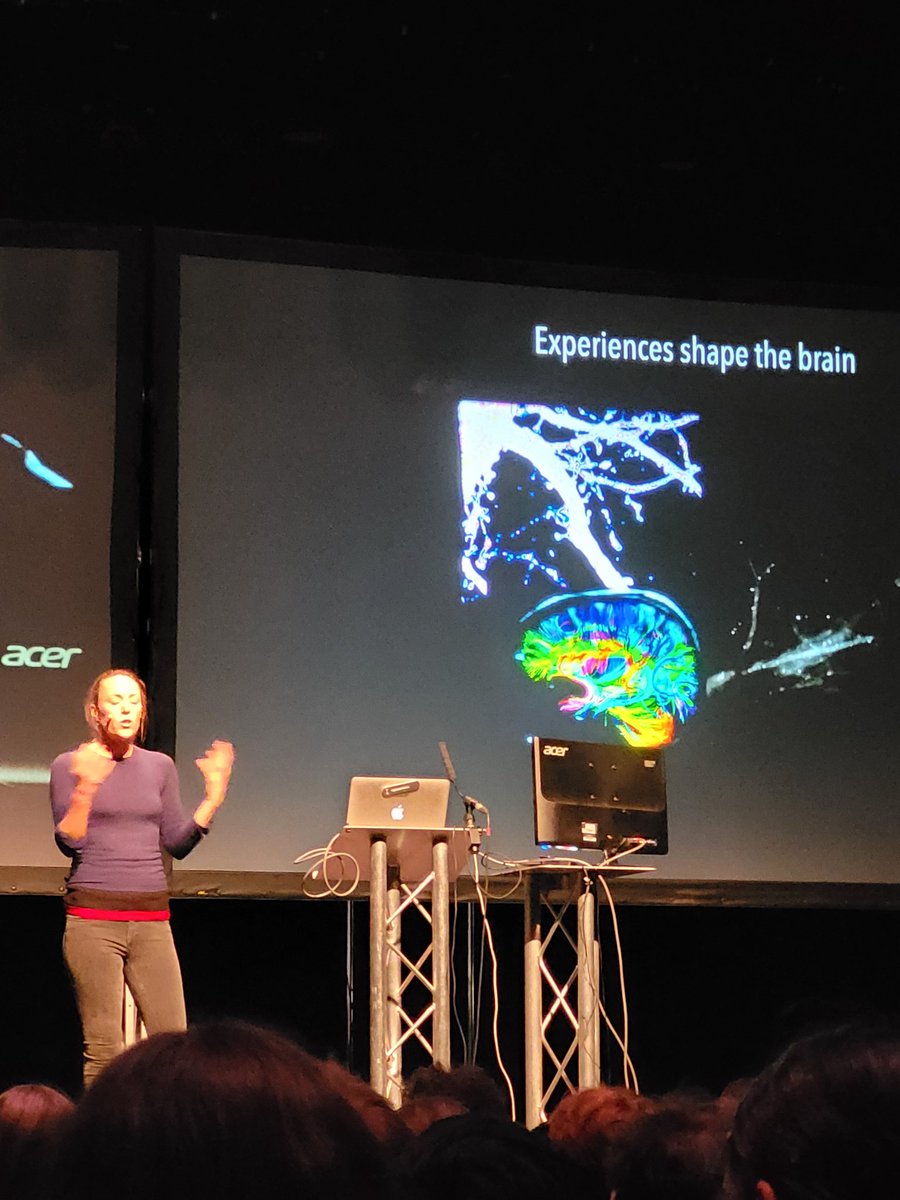SamuelWardSci's tweet photo. Understanding the complexity of the brain with @HanCritchlow at #GCSEScienceLive https://t.co/tVigFfuvH4