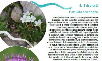 FloranetLife's tweet photo. Layman’s report. Floranet LIFE si racconta in sintesi.
🌱➡🌺🌿 🌼🥀🌷🌻 Un documento finale📄che conclude il progetto e che restituisce, in poche pagine, cinque anni di impegno per la tutela della biodiversità floristica dell’Appennino Abruzzese.
👉https://t.co/6dYsLmwrBr https://t.co/7z4kD3hORJ