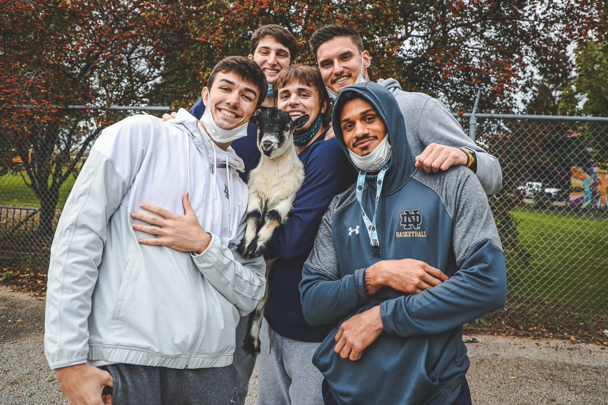 NotreDameGLD's tweet photo. Good luck to the πβs in Brooklyn this week!
You have worked to inspire our community this year and we canβt wait to cheer you on from home! βοΈ
#GoIrish x #IrishOn3 https://t.co/6wtmevTBJz