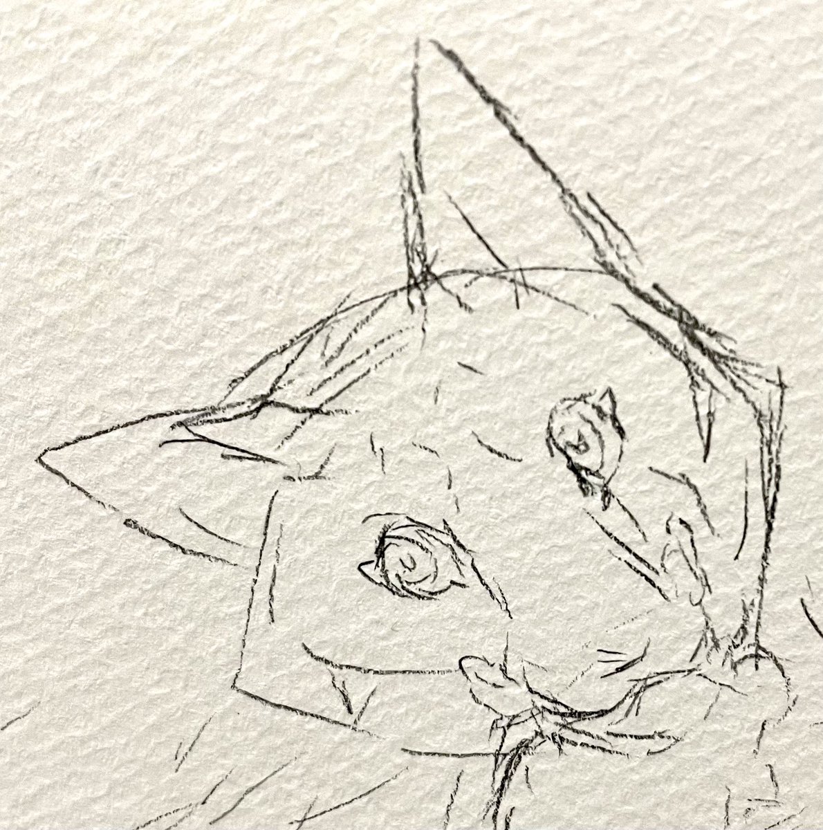 もふもふきつね展の狐達は出来るだけ違う顔にしようかと描き途中
…絶賛左斜め 