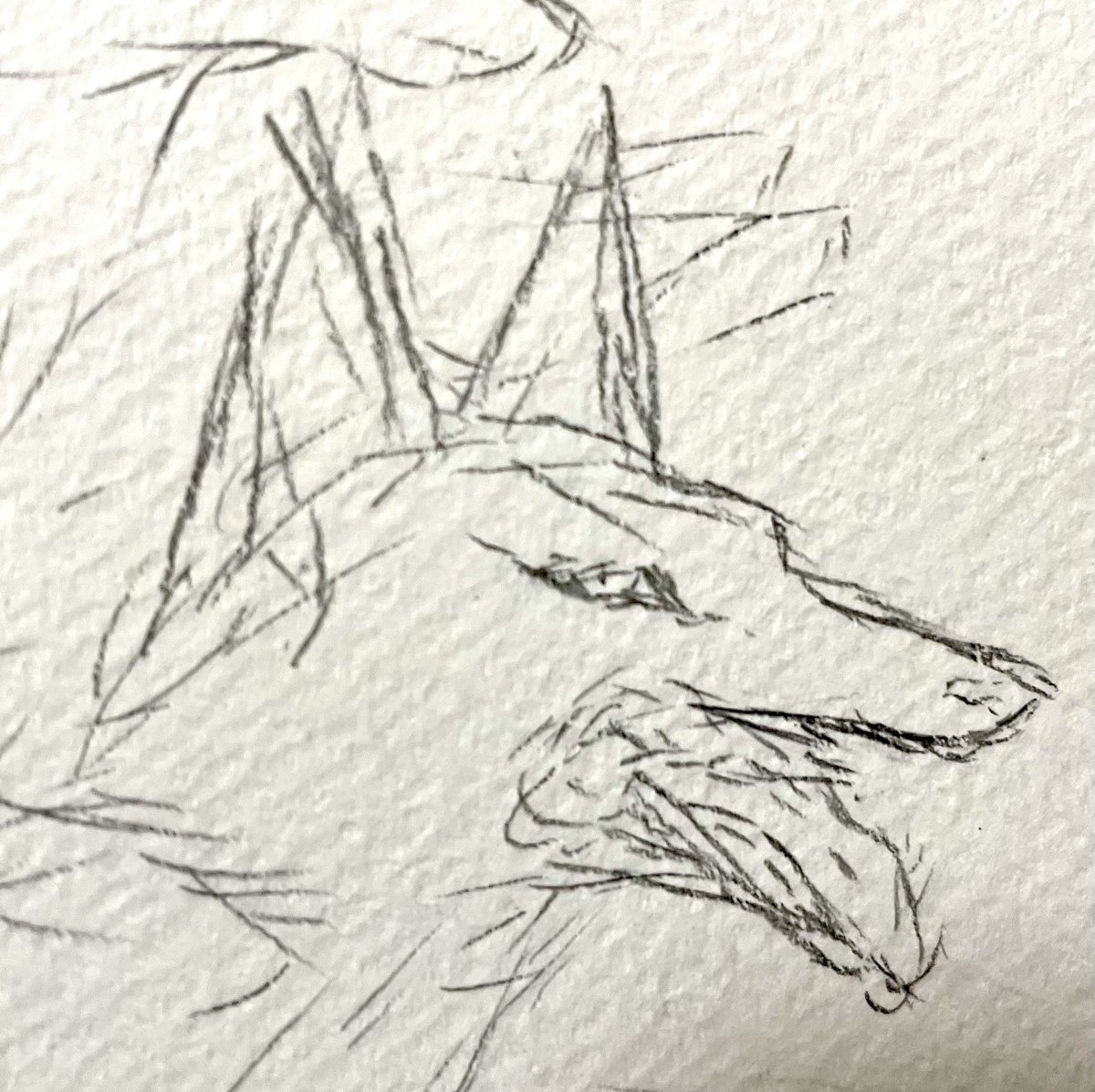 もふもふきつね展の狐達は出来るだけ違う顔にしようかと描き途中
…絶賛左斜め 