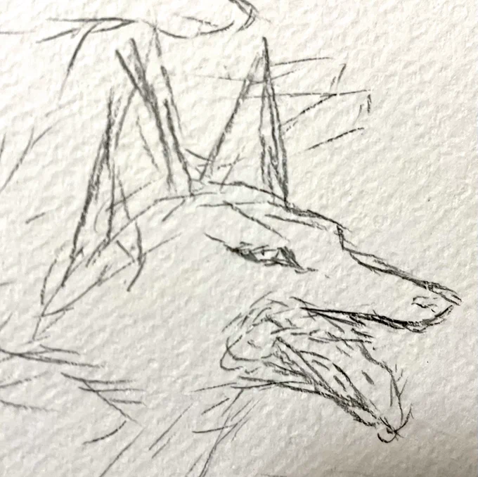 もふもふきつね展の狐達は出来るだけ違う顔にしようかと描き途中
…絶賛左斜め 