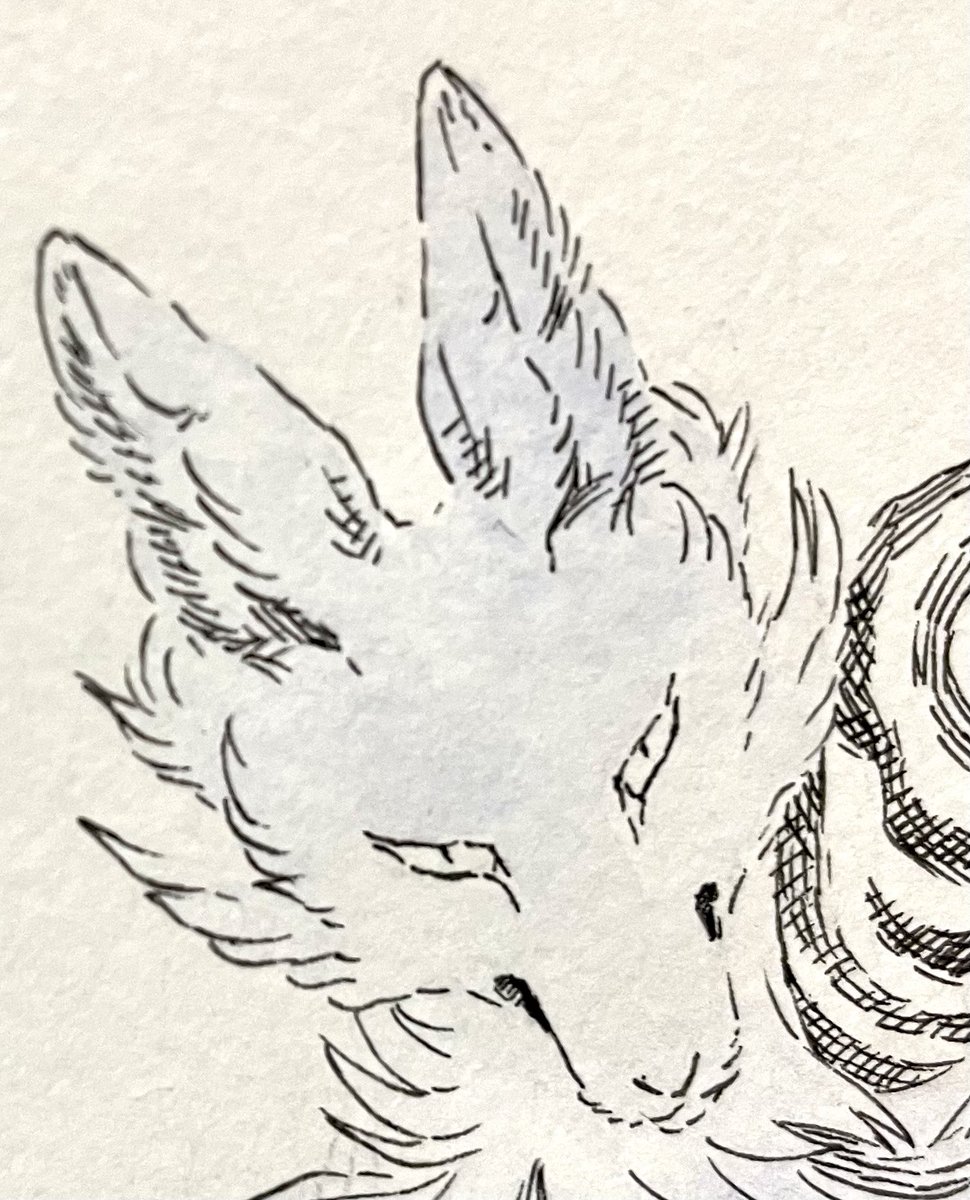 もふもふきつね展の狐達は出来るだけ違う顔にしようかと描き途中
…絶賛左斜め 