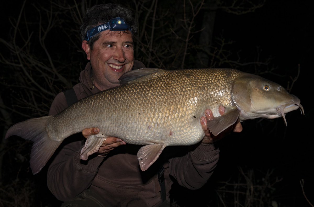 GaryNewman13's tweet photo. Still can’t quite believe that I caught this 20lb 2oz Thames barbel - full story and more photos in @angling_times this week. https://t.co/Ig5DJ8dHJj
