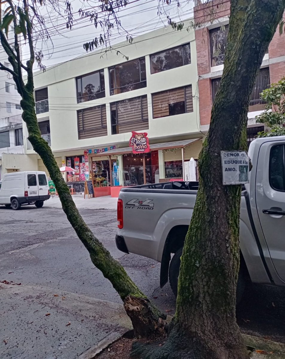 BarrioGranda's tweet photo. Durante 3 años hemos pedido la inspección de los árboles de nuestro barrio, pedido sin respuesta. Estos árboles están a punto de caerse por favor su intervención URG!@MunicipioQuito @ObrasQuito https://t.co/tQI5gKbiHe