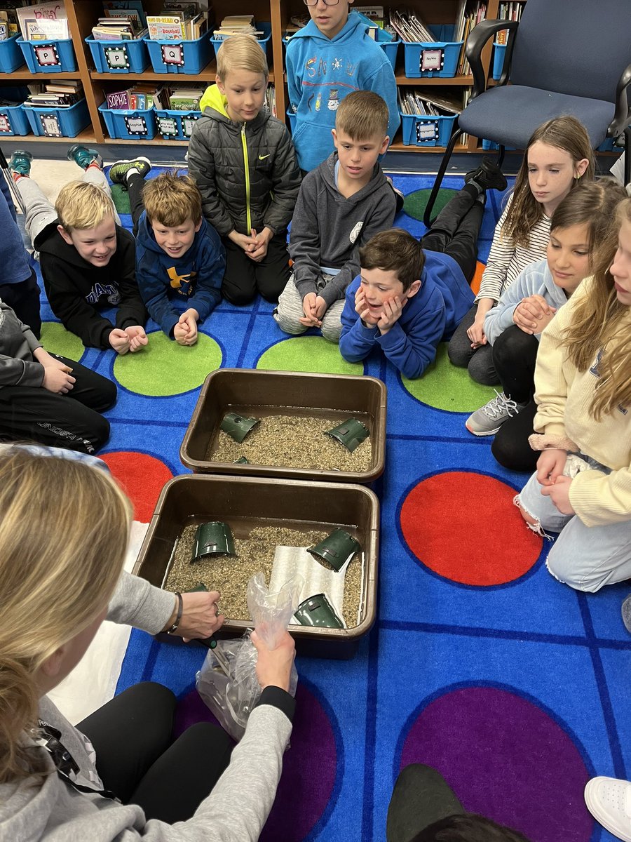 Cannons_Kinders's tweet photo. Welcoming our crayfish into their new homes!! https://t.co/6HAqn8t9FP