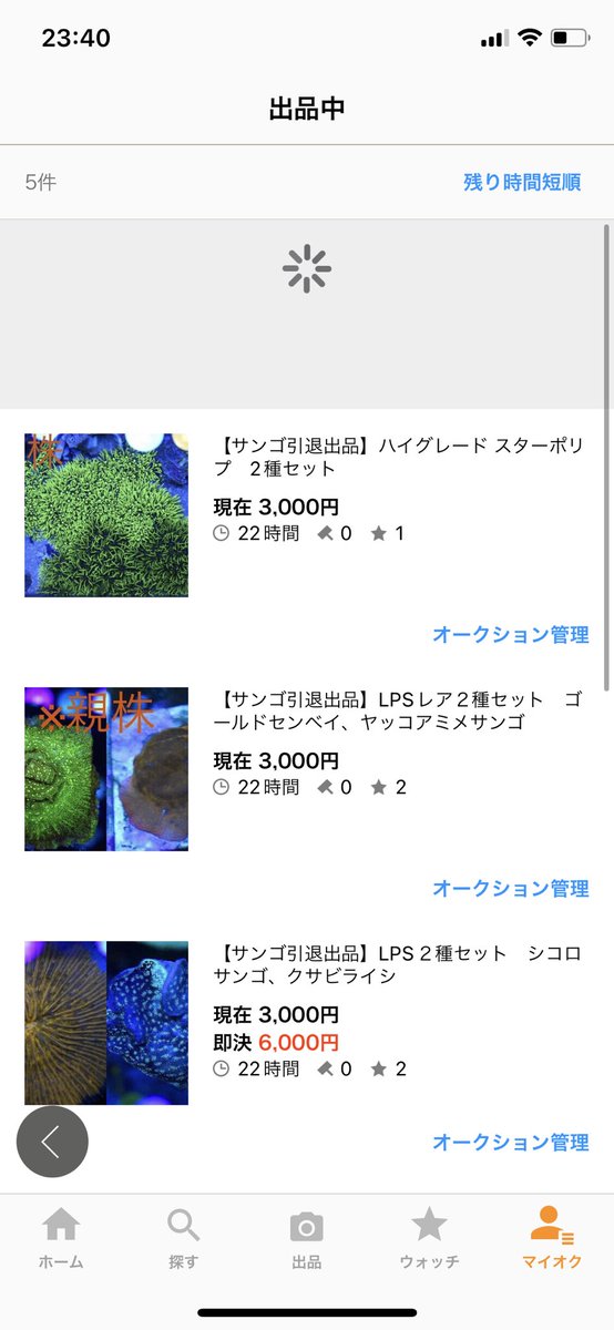 dezi0408's tweet photo. 水槽畳むため、ヤフオクで色々出してるので良かったら見ていってください

そして私に車資金をください😞 https://t.co/2wANrovmE0