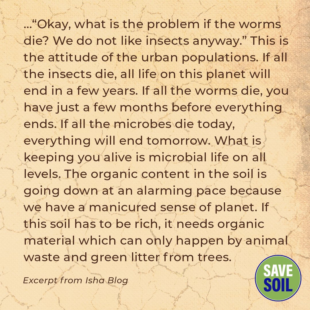 cpsavesoil's tweet photo. Seemingly insignificant yet pivotal to the cycle of life on the planet, insects and the many lifeforms in the soil are disappearing at a rapid rate, threatening our own existence. Find out how at https://t.co/jm71zQ5yXq
#SaveSoil #ConsciousPlanet @FAO @UNCCD @SadhguruJV https://t.co/fnrpe1Th4M