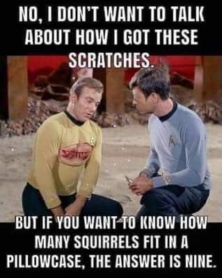 Have a great day #trekfamily 😂
#startrektos
