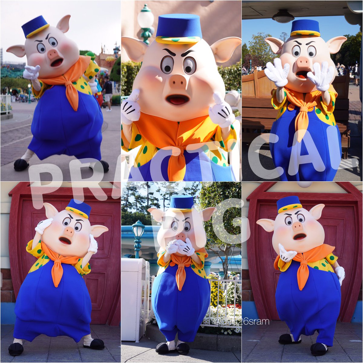 dff626sram's tweet photo. 20↑🚺ミラーレス
Duffy / Practical Pig / Pooh
グリが好き　ぬい撮
#twitter上にいるDヲタ全員と繋がるのが密かな夢だったりするのでとりあえずこれを見たDヲタはRTもしくはフォローしていただけると全力でフォローしに行きます https://t.co/pr6K1Evgpd