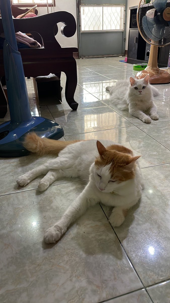 2 แสบมหาประลัย