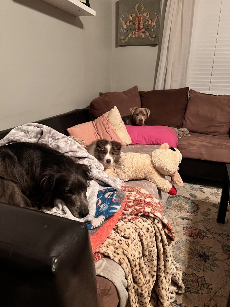 Look who got on the couch by herself😭