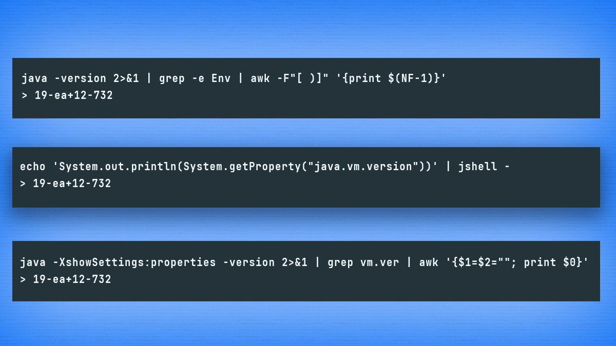 Someone asked me how to get the version of an  #OpenJDK build in a script 🧐