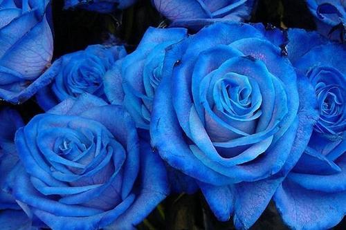 loving_BLUE_'s tweet photo. https://t.co/VLz0Nio0pU