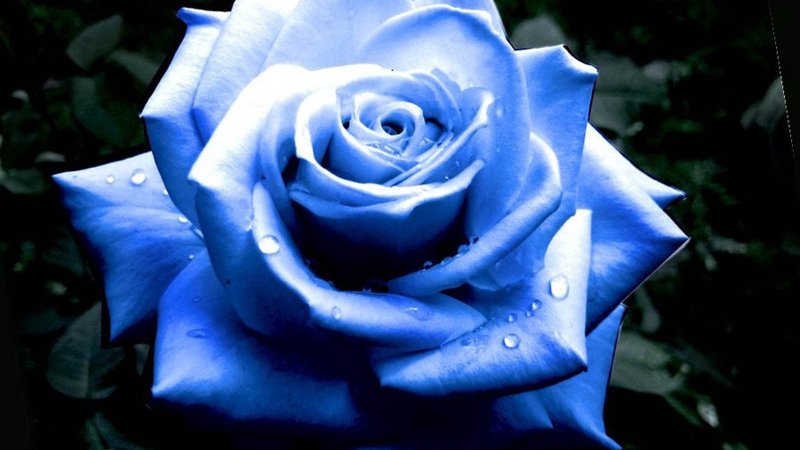 loving_BLUE_'s tweet photo. https://t.co/VLz0Nio0pU