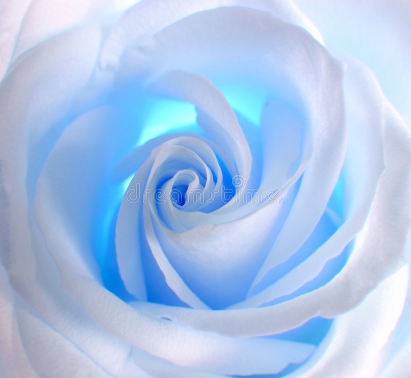 loving_BLUE_'s tweet photo. https://t.co/czf92Mgzl4
