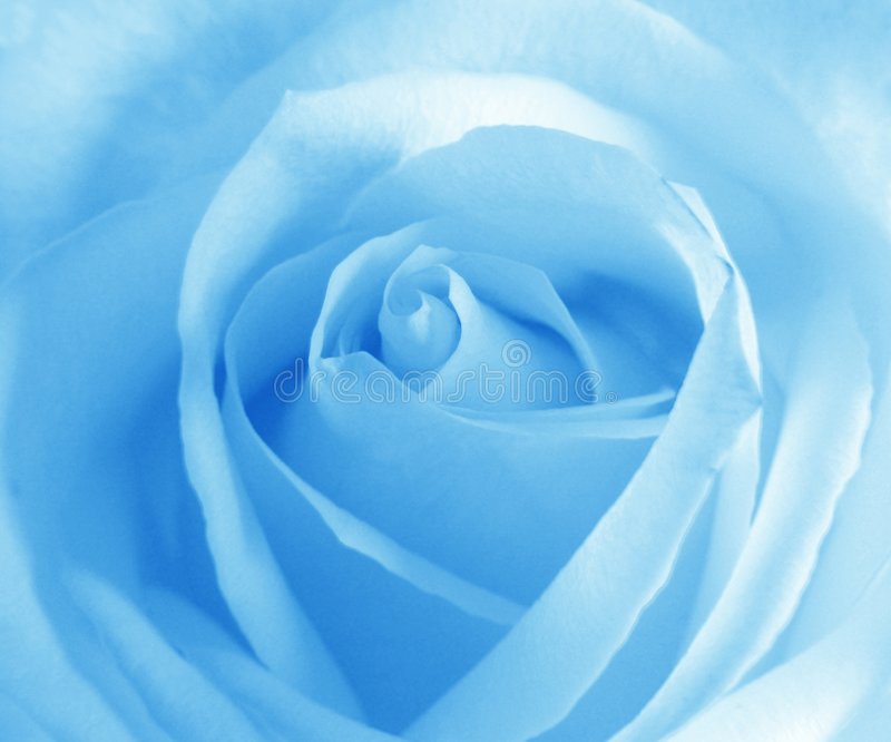 loving_BLUE_'s tweet photo. https://t.co/czf92Mgzl4