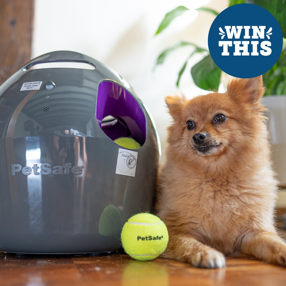 PetSafe UK (@petsafeuk) on Twitter photo Giveaway 🐾 We are giving you the chance to win a PetSafe Automatic Ball Launcher for your doggo! 🐶
To enter: Retweet and follow <a href="/PetSafeUK/">PetSafe UK</a>
#PetSafeGiveaway #Giveaway #Contest #PetsOfTwitter Giveaway 🐾 We are giving you the chance to win a PetSafe Automatic Ball Launcher for your doggo! 🐶
To enter: Retweet and follow <a href="/PetSafeUK/">PetSafe UK</a>
#PetSafeGiveaway #Giveaway #Contest #PetsOfTwitter