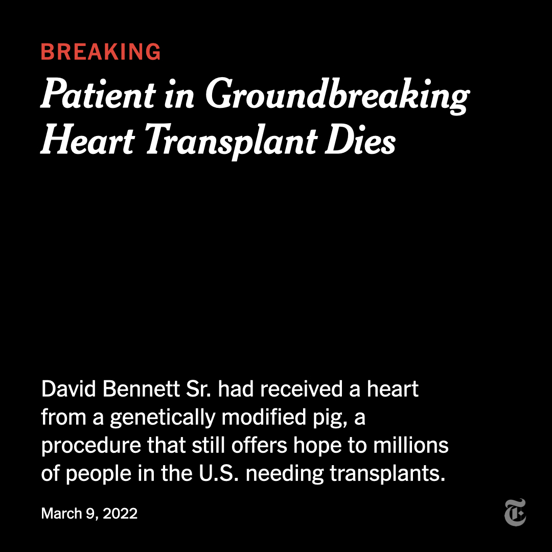 nytimes's tweet photo. Breaking News: The first patient to have his heart replaced with that of a genetically altered pig died two months after the surgery, a hospital official said.

“There was no obvious cause identified at the time of his death,” a hospital spokeswoman said.
https://t.co/LIN60Fsgu7 https://t.co/TCVEQXOSaU