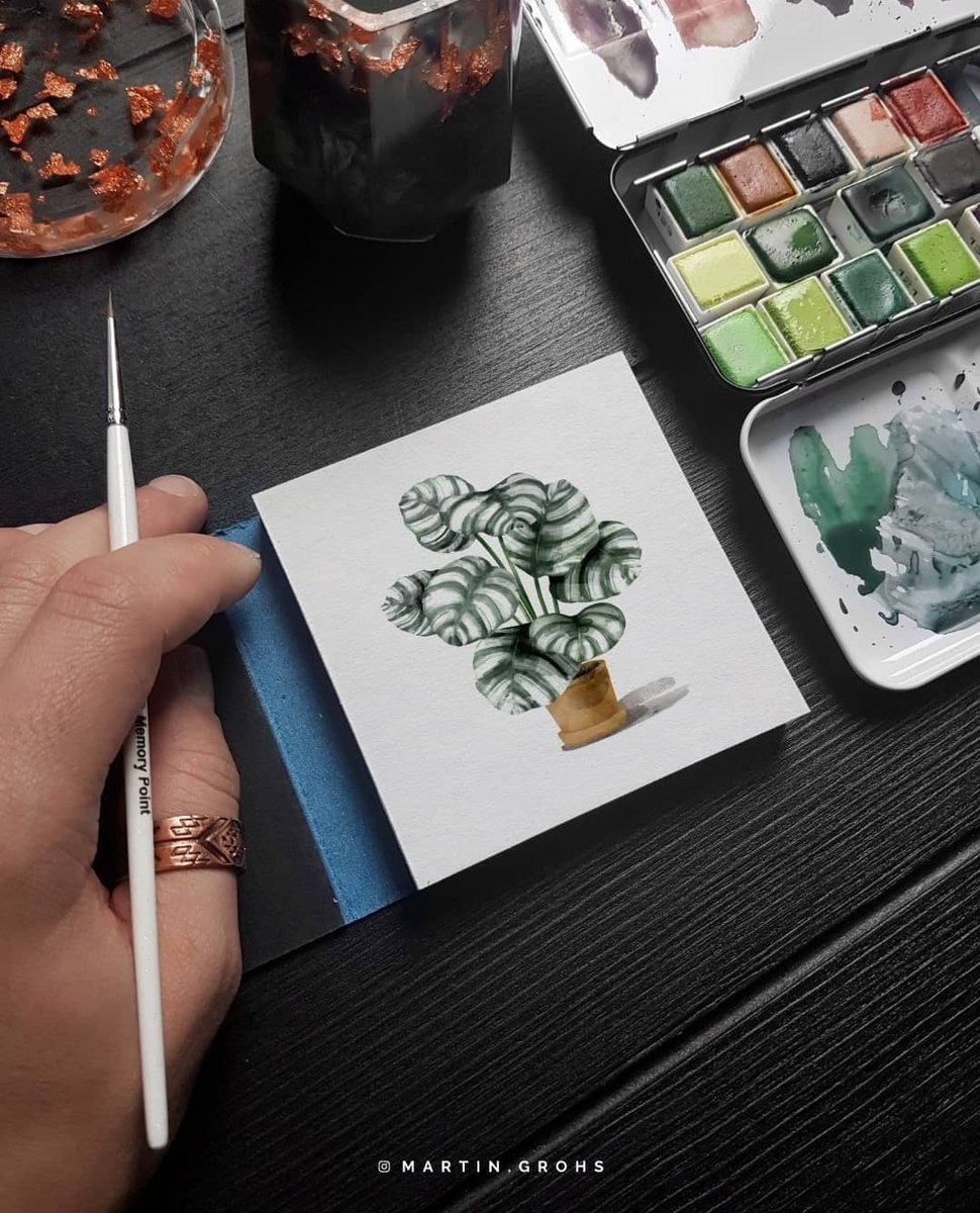 SMLTArt's tweet photo. Small format watercolor flowers - inspiration by @martin.grohs.
#authenticbaby #smltart #watercolor https://t.co/djlYsfBVeD