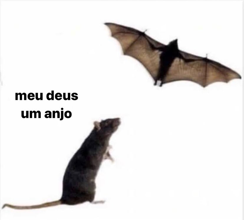 abreueumesmo's tweet photo. https://t.co/jQ4QgmkPhP