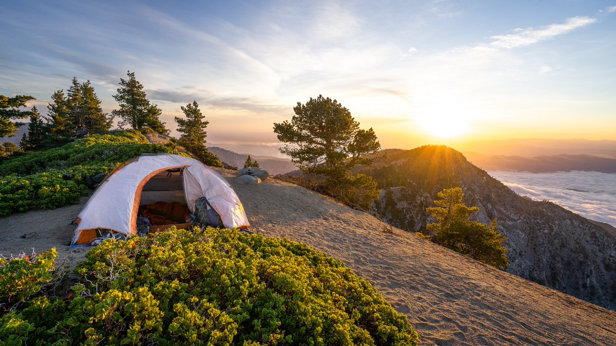 🏕 Planea con anticipación y explora de forma segura nuestras tierras públicas con estos tips: bit.ly/3M9lCq2 

#RecreaciónResponsable #RecreateResponsable #SafetyFirst