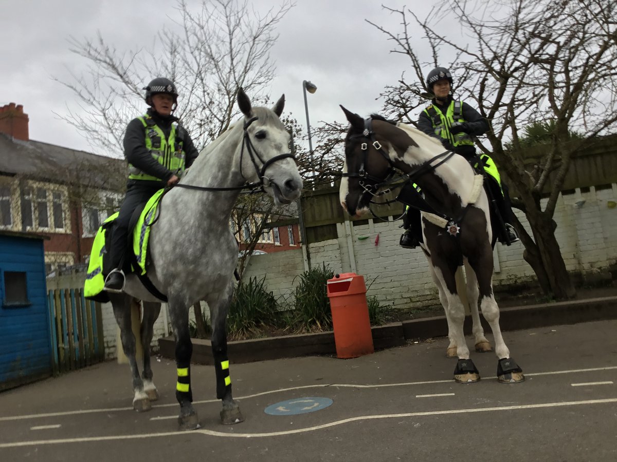 BirchgrovePrm's tweet photo. A big thank you to @SWPDogsHorses Nico and Cobblestone, PC Lisa and PC Rick for coming into dosbarth derbyn this afternoon. The children had a lovely time learning all about the police horses and what they do. Rico &amp; Cobblestone even left us a present!!😂 https://t.co/0ufviqABJT