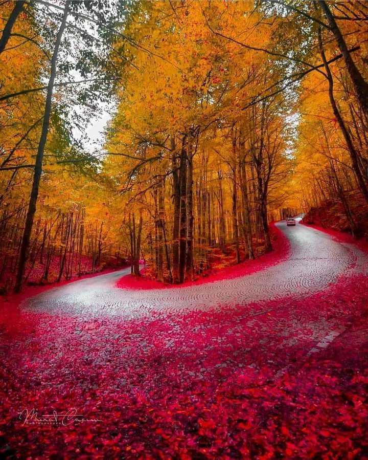 ❃ MAGICAL AFTERNOON ❤🧡💛
#naturelovers #nature #NatureBeauty