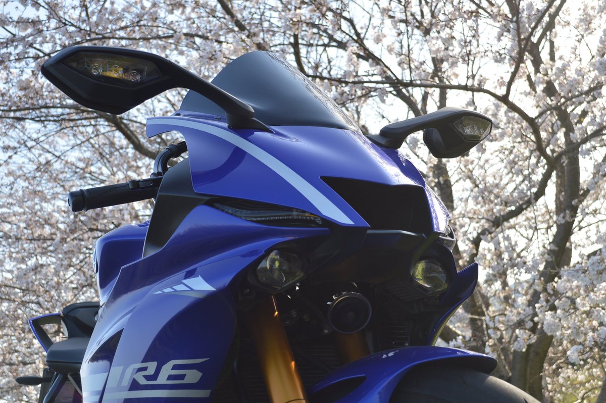 XxzerofactorxX's tweet photo. #バイク乗りとして軽く自己紹介 
 #バイク好きと繋がりたい 
名前:猫丸
性別:男
年齢:27歳 
身長:169cm
住み:静岡
車種:YZF-R6(2017）
好き:時計、車、バイク、猫
一言:みなさんのバイク見せてください！ https://t.co/9HSUrOd3o2