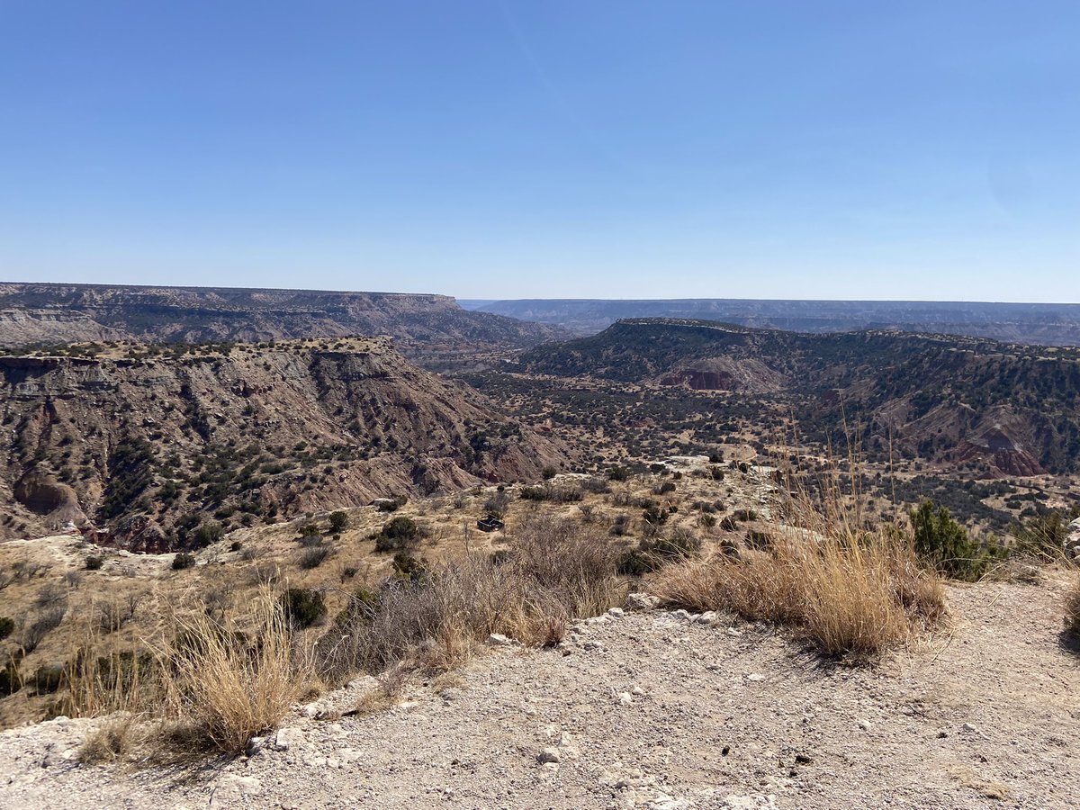 You can’t beat what we got going on at WT…

Best stadium in D2
20 min from Palo Duro Canyon 
Located in the Amarillo metro area (pop. 250,000) 
Energized student body &amp; beautiful campus…

CMON NOW!