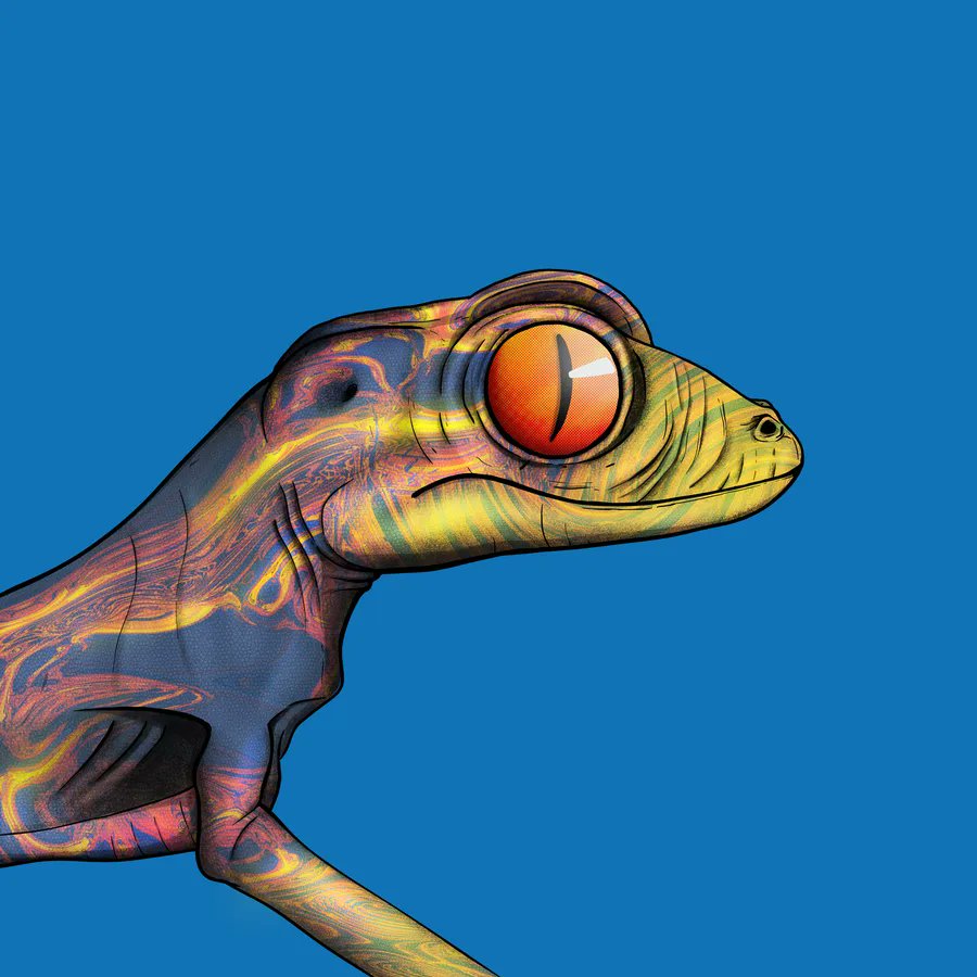 ThinkJunkiex's tweet photo. Won myself another holders shuffle over the weekend and grabbed this amazing geko! Art still amazes me each time. Three more to go till my diamond status!!!

@Gekofam @boganmeister https://t.co/cWz6m9ok8I