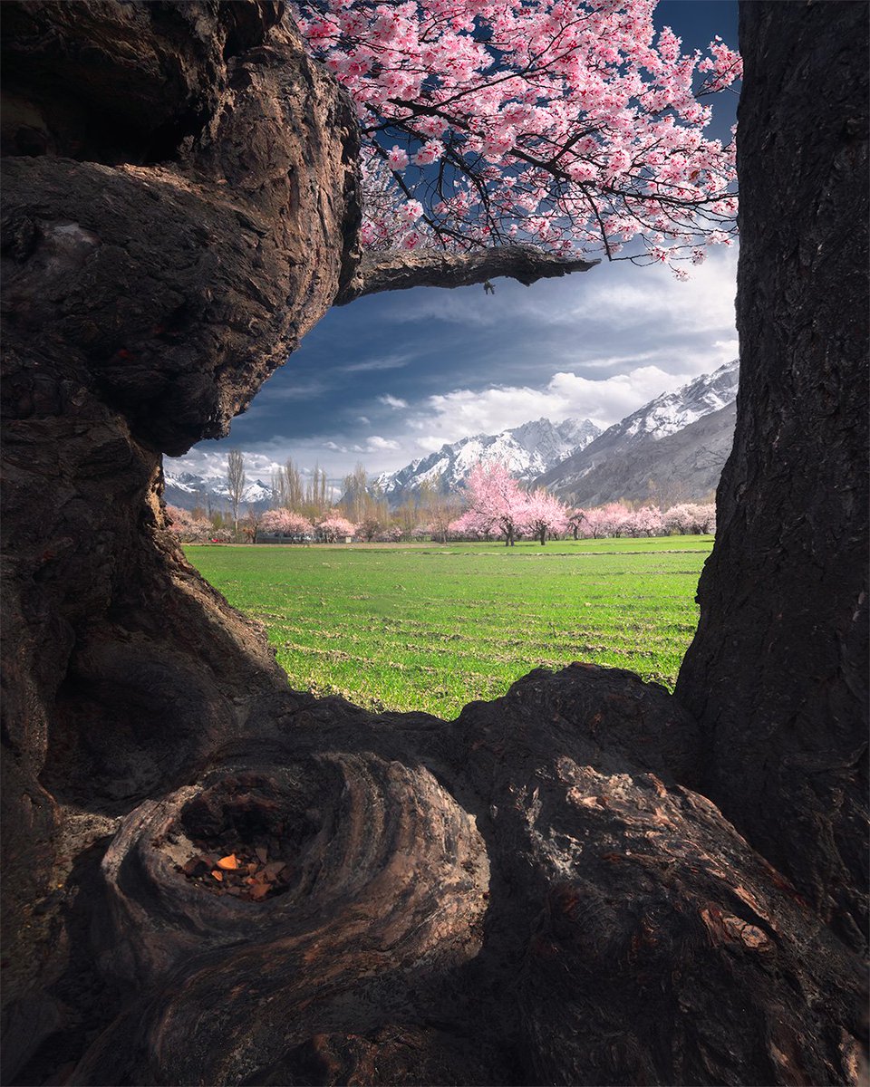 gm!

Blossom is coming, share your blossom photos 🌸

Baltistan, Pakistan
#NFTCommunity #nftcollector #NFTphotographers