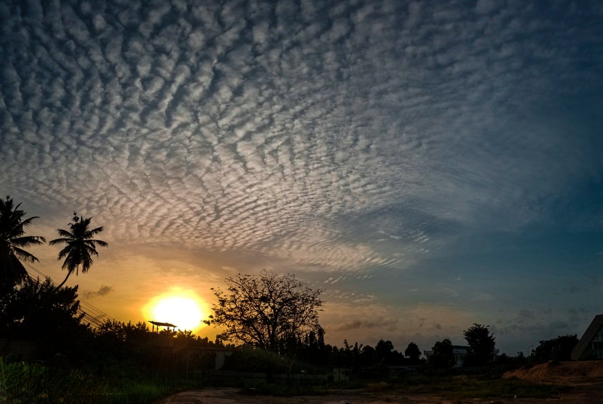SadeshMagic's tweet photo. A gorgeous sky i could've stared at all day...#gorgeoussky #skies #nature #cloudy #evening #samsung #withgalaxy #note8 https://t.co/dWIdiCnbeI