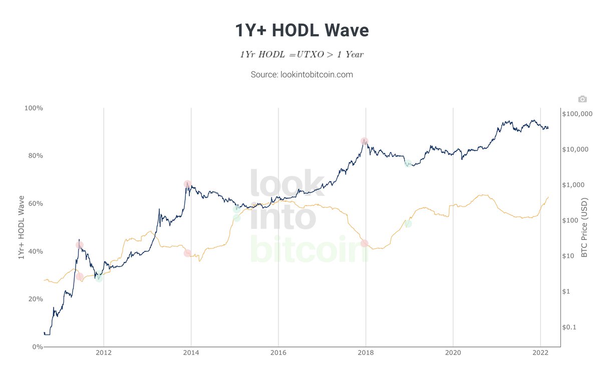 TradersMastery's tweet photo. From an on-chain perspective the next BIG #bitcoin leg up should occur once 1Y+ HODL Wave peaks above +64% and THEN as that ratio begins to fall. It is on the distribution price climbs.

We are close. https://t.co/jMOuXwUT5O