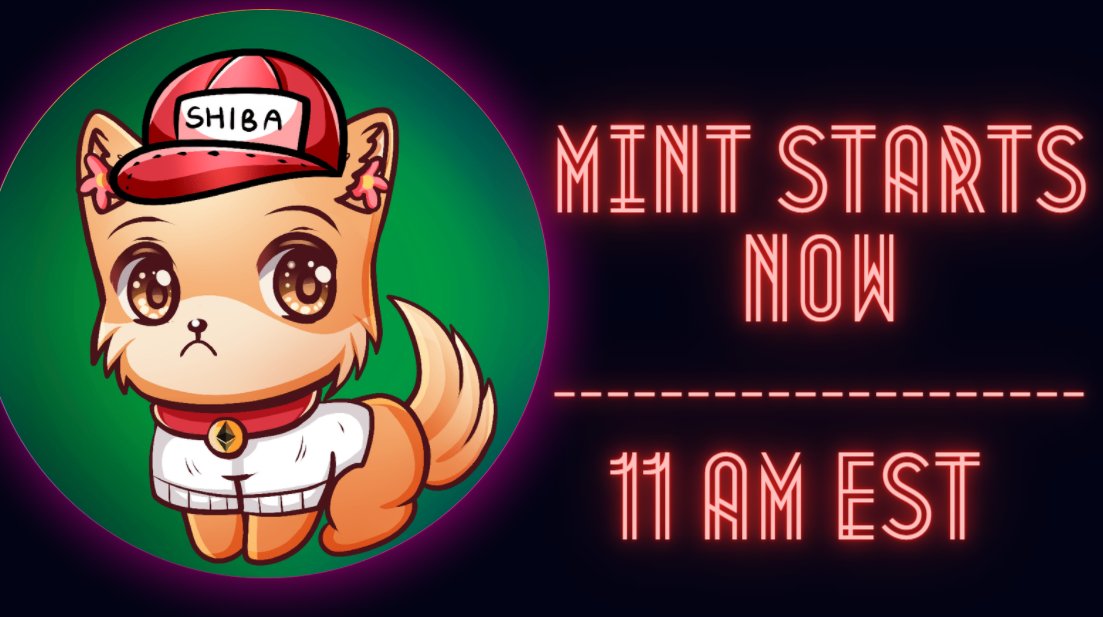 Shiba Puppy Metaverse Official 🐶 tweet media