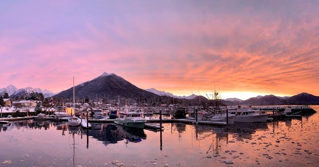 Alaska_Seafood's tweet photo. Along with mountain trails and beautiful views, did you know that Sitka, Alaska has the 6th largest port by the value of seafood landings in the U.S.? 

📷: ak_islanddreamer / Instagram https://t.co/vk0hd3igQG