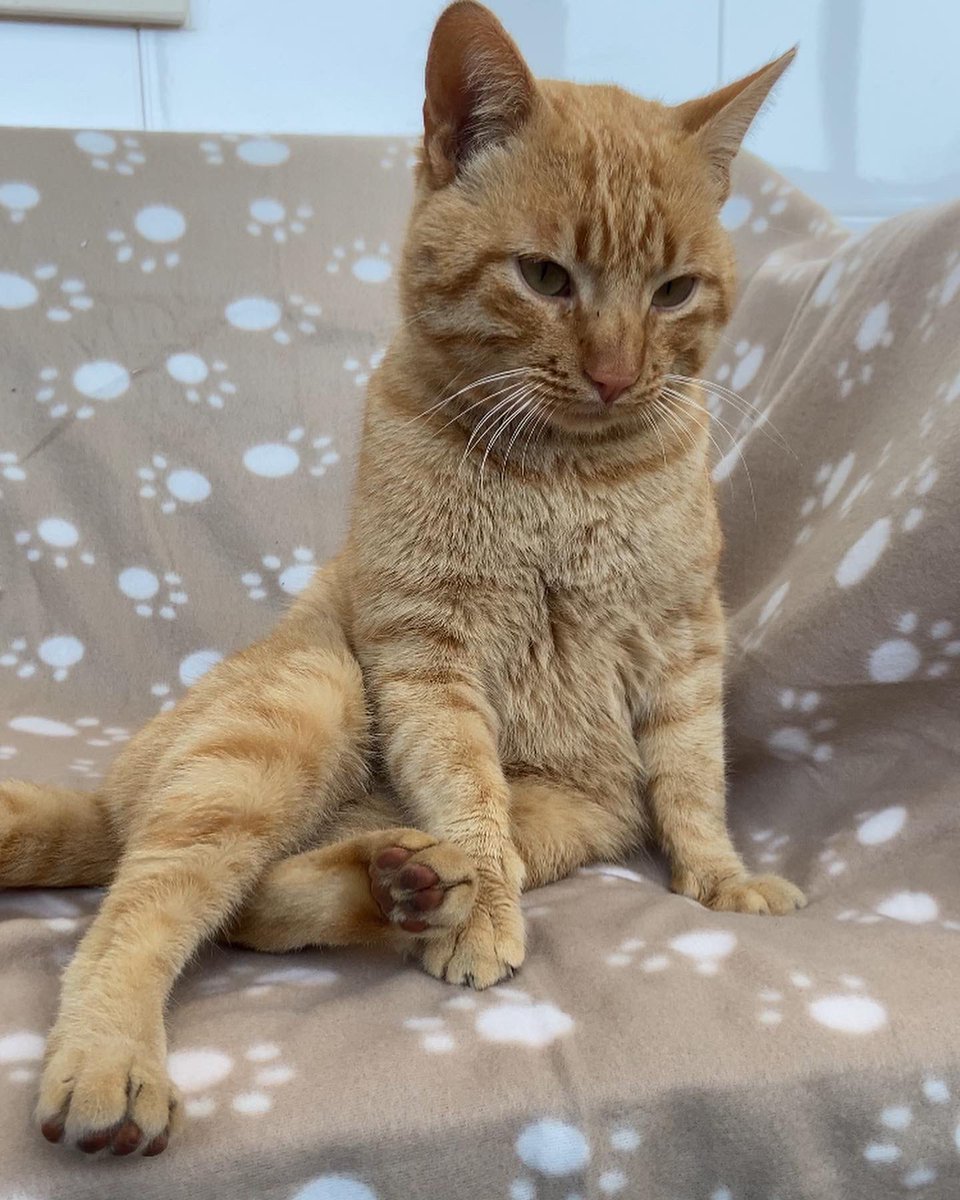 upe_13's tweet image. RT!!!!! 🙏🏽🙏🏽🙏🏽