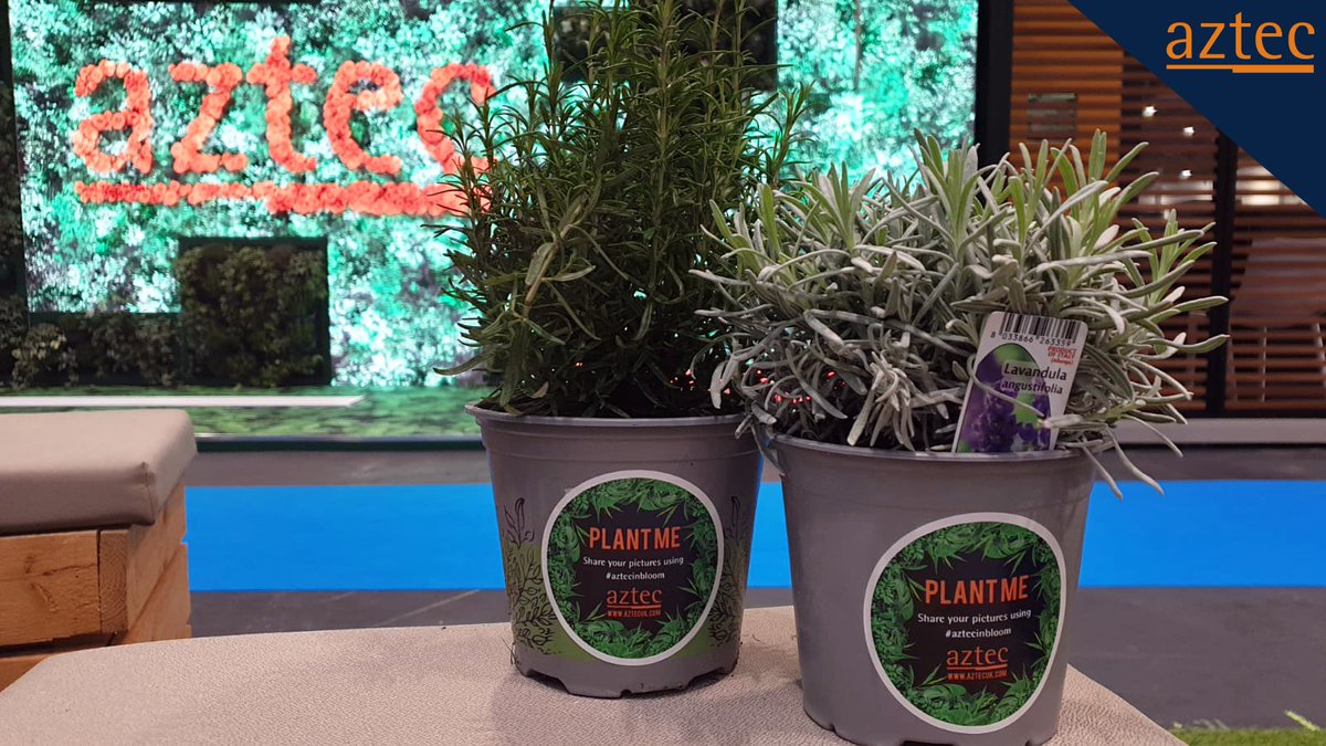 AztecEventsUk's tweet photo. Still at @IntlConfex? Come and collect a leafy green gift from stand H32C 🌼

#weareaztec #confex #meettheteam #audiovisual #aluvision #led #exhibition #exhibitors #confex22 #transformyourevent #aztecinbloom #sustainability #gift https://t.co/Ucr2iYFJYi