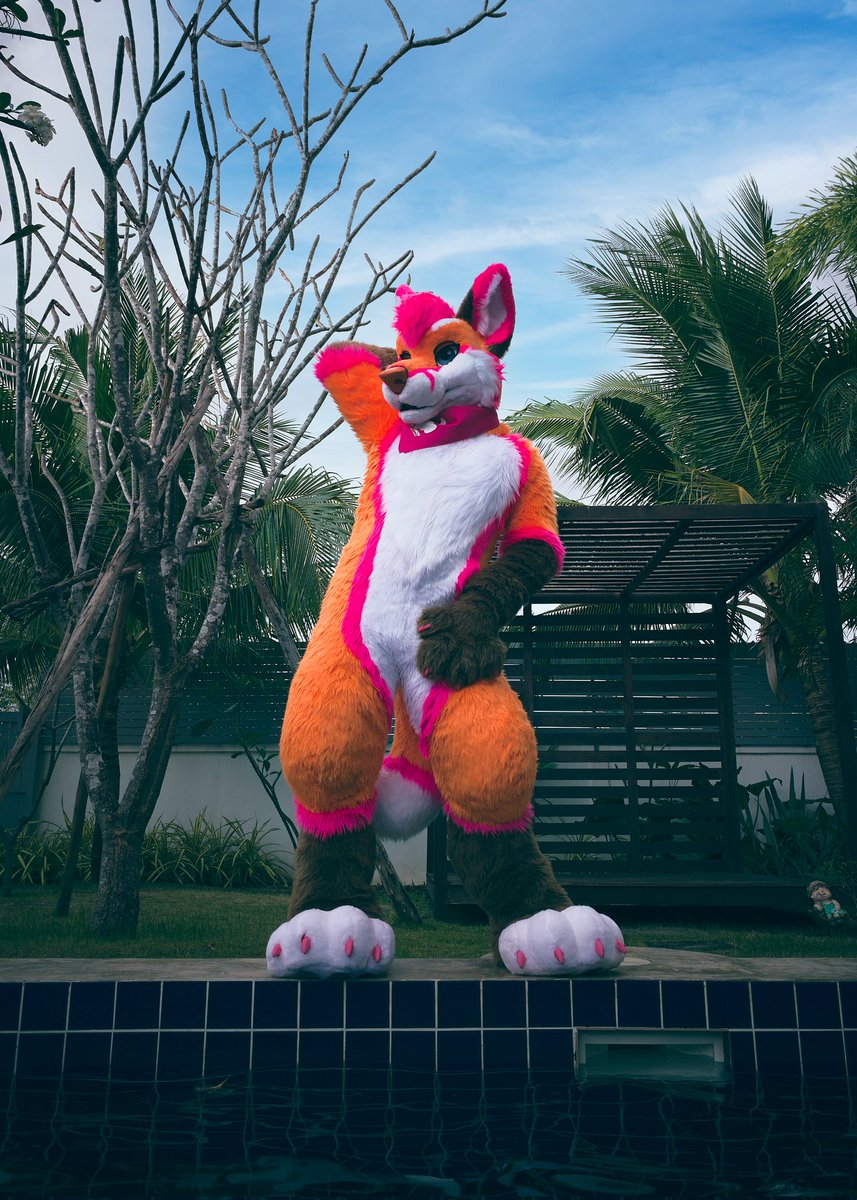 KiyochiiThefox's tweet photo. 🔹️🔷️ Sometimes it's bright, sometimes it's blue. Sometimes it’s harder to be bright when you feel the darkness inside you 🔷️🔹️#wednesdayvibe

📸 @snappypupper 
🧵 @MadeFurYou https://t.co/XTQqtOHFb4