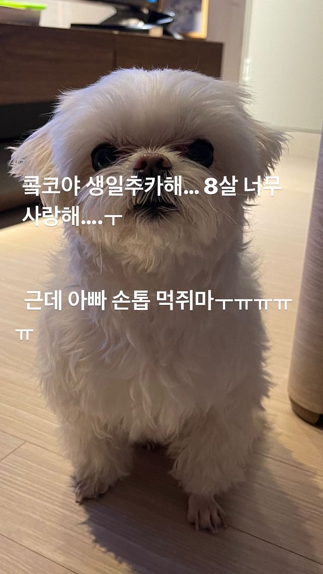 GOT7POSTS's tweet photo. 220309 Youngjae's IG Story Update

https://t.co/AKVyW7HXJ8

#Youngjae #영재 @GOTYJ_Ars_Vita
#GOT7 #갓세븐 @GOT7Official https://t.co/ObZzNw1hwT