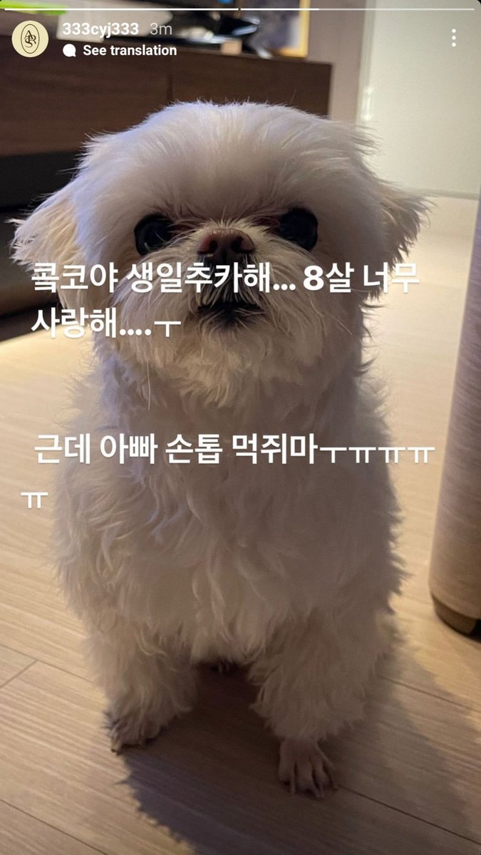 GOT7POSTS's tweet photo. 220309 Youngjae's IG Story Update

https://t.co/AKVyW7HXJ8

#Youngjae #영재 @GOTYJ_Ars_Vita
#GOT7 #갓세븐 @GOT7Official https://t.co/ObZzNw1hwT
